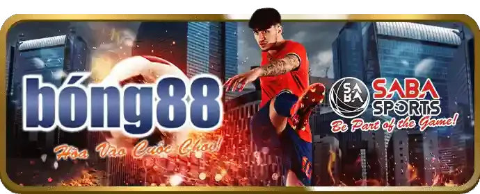 Chương trình VIP OKKING